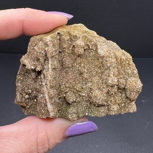 Petrified wood with Smoky Quartz